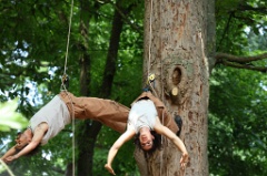 2 dans l arbre 006 * 6000 x 4000 * (7.82MB)